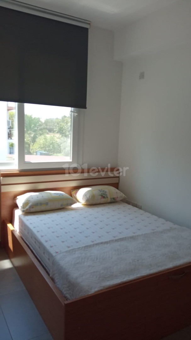 2 + 1 furnished apartment with small cream ** 