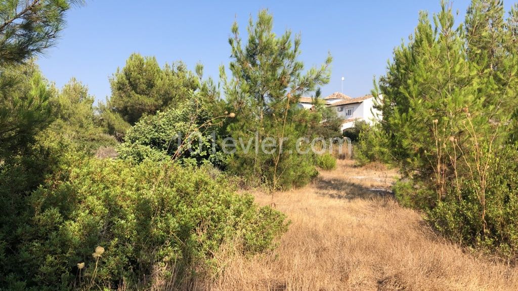 Residential Zoned Plot For Sale in Çatalköy, Kyrenia