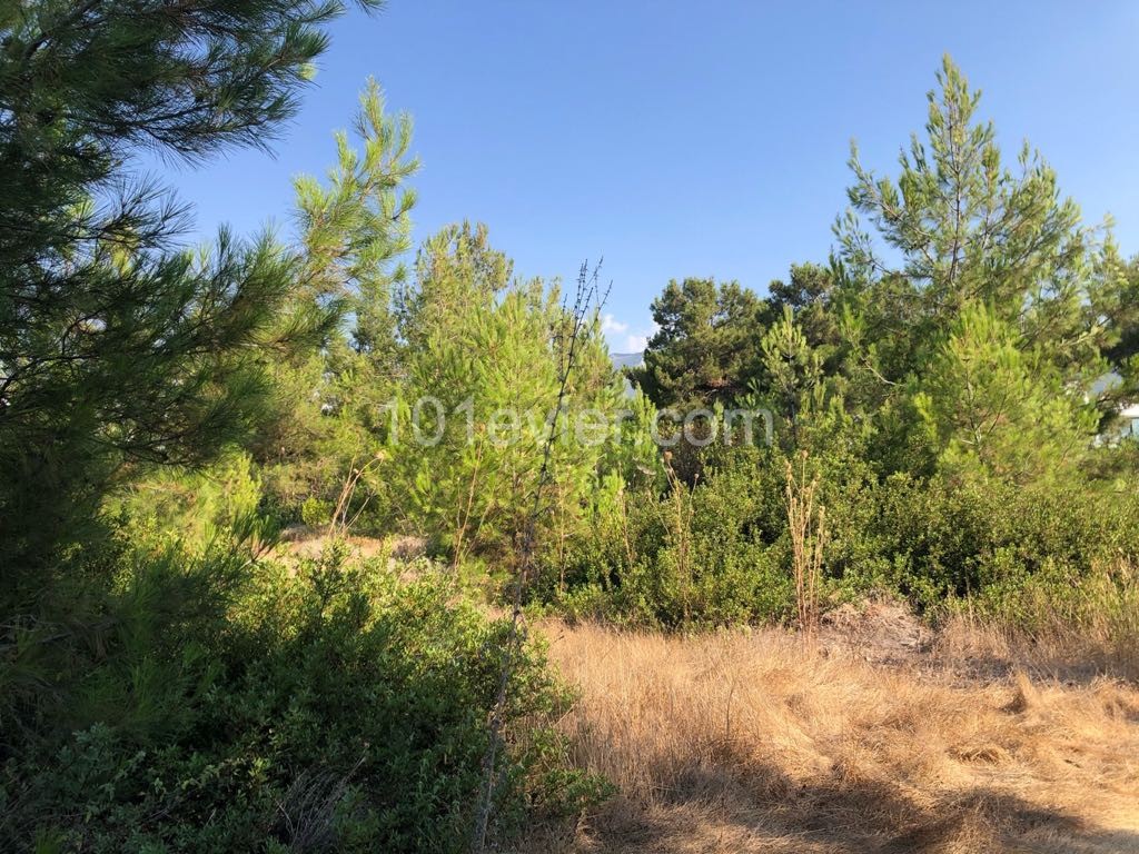 Residential Zoned Plot For Sale in Çatalköy, Kyrenia