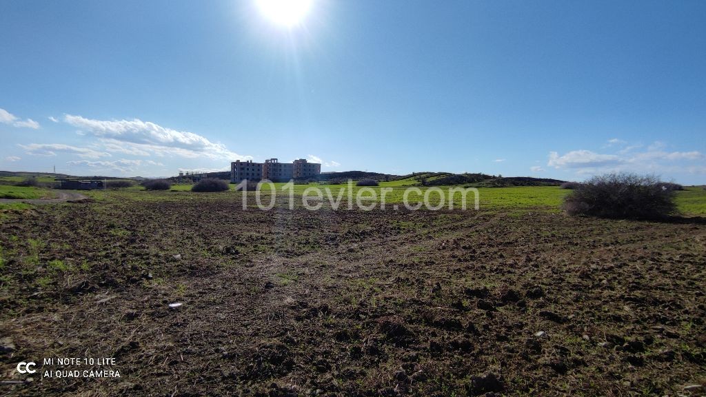 Suitable for villa construction, investment purposes, in the most beautiful and decent area of the Bosphorus, a field with an equivalent cob ** 