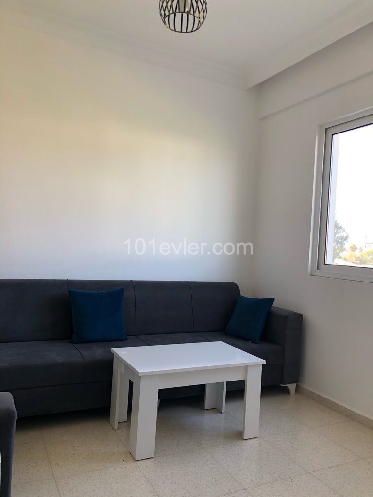 Spacious 3-bedroom apartment with jul kitchen, clean and cost-free ** 