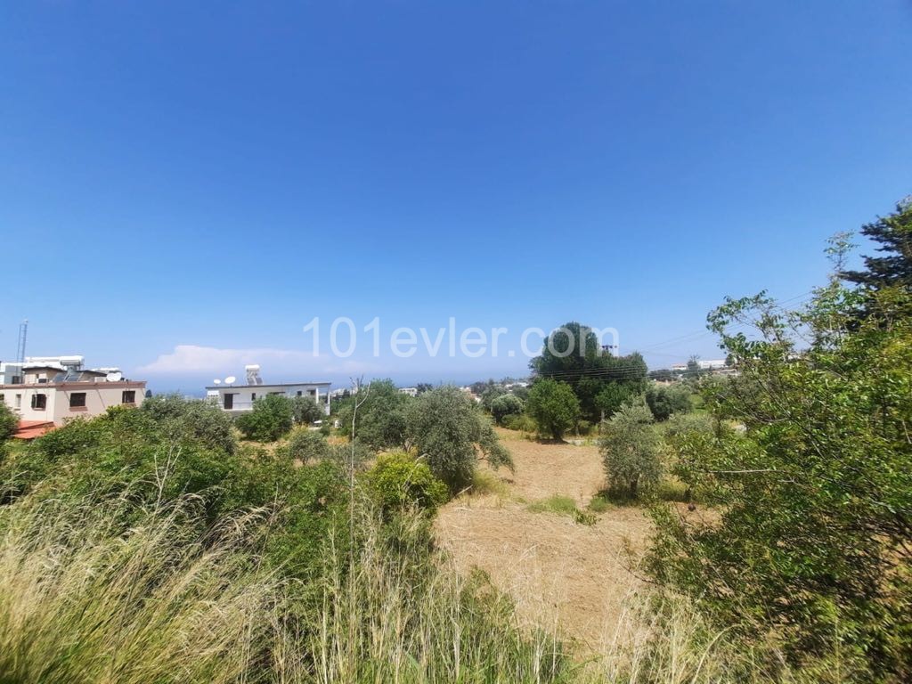 a 980m2 land plot for sale with a 100% equivalent cob with a sea view, located on a cul-dec-sac with a green area on 2 facades yesil ** 