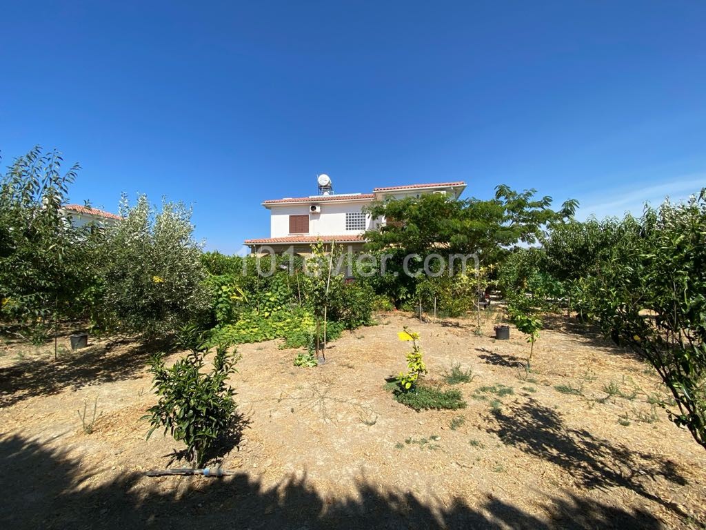 A Large 3-Bedroom Villa for Sale On a 900m2 Plot with a Grape Garden 200m From the Sea Dec ** 