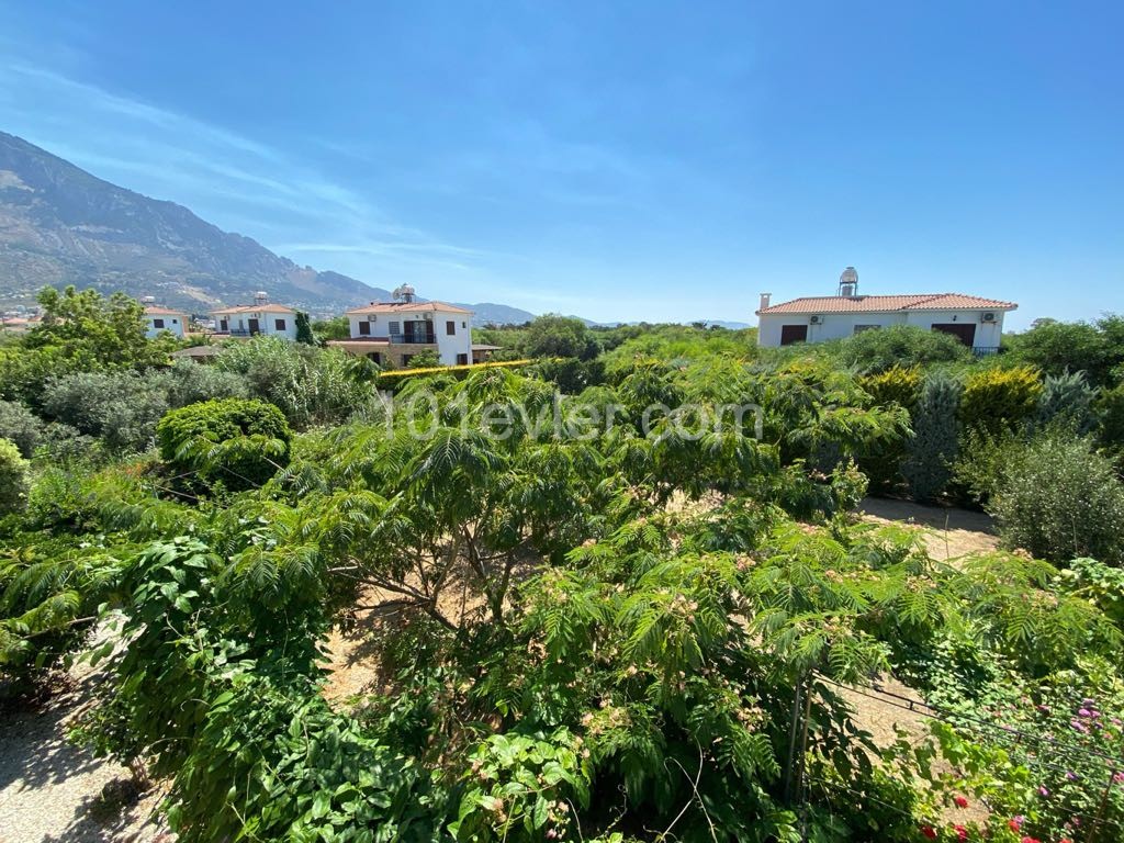 A Large 3-Bedroom Villa for Sale On a 900m2 Plot with a Grape Garden 200m From the Sea Dec ** 