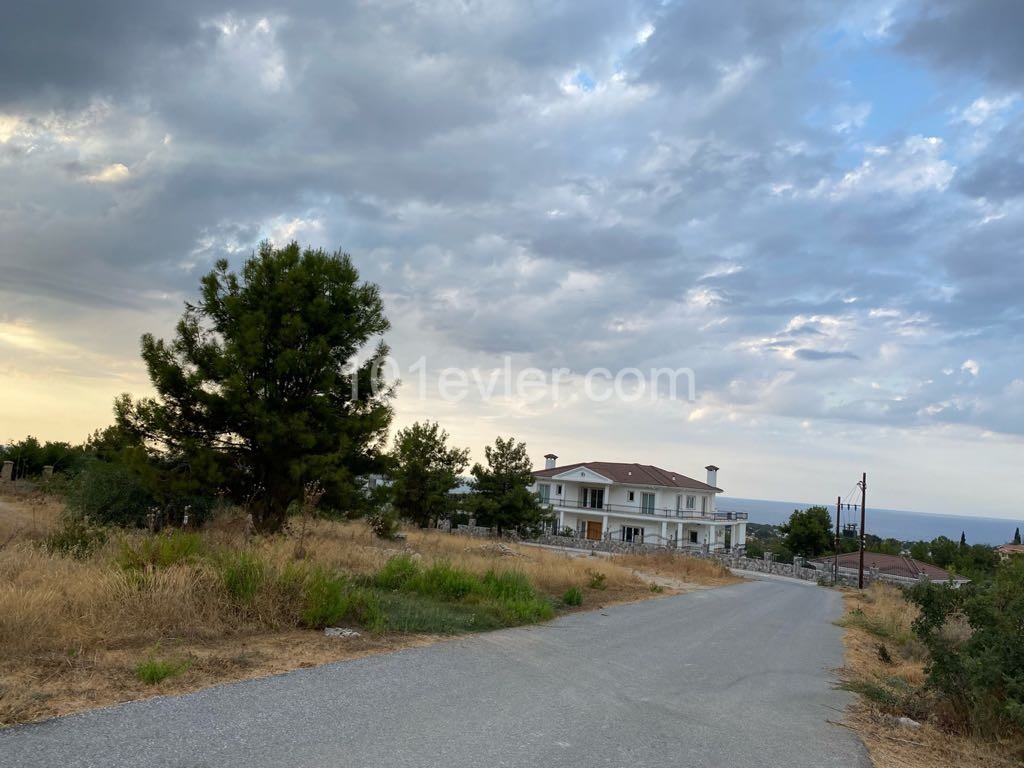 Located in the most prestigious area of Beylerbeyi, on a medium slope, with a view for sale, 4 donum land ** 