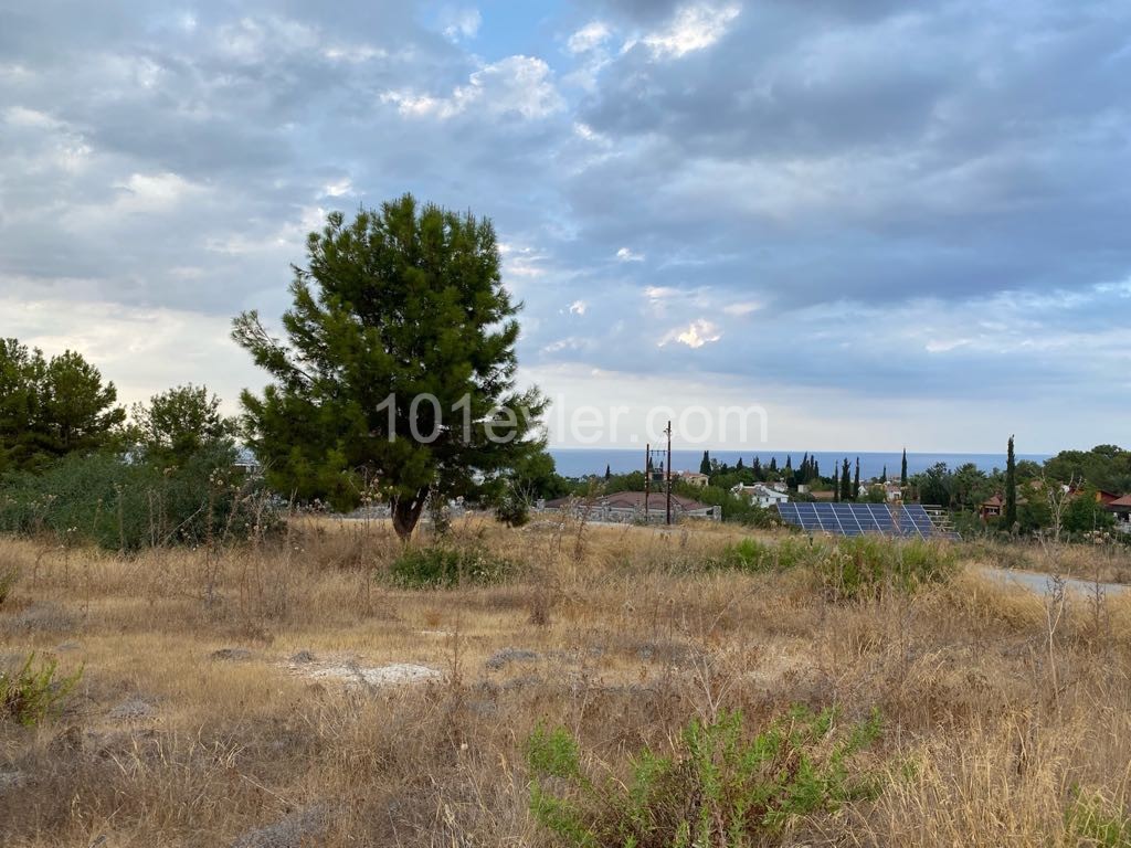 Located in the most prestigious area of Beylerbeyi, on a medium slope, with a view for sale, 4 donum land ** 