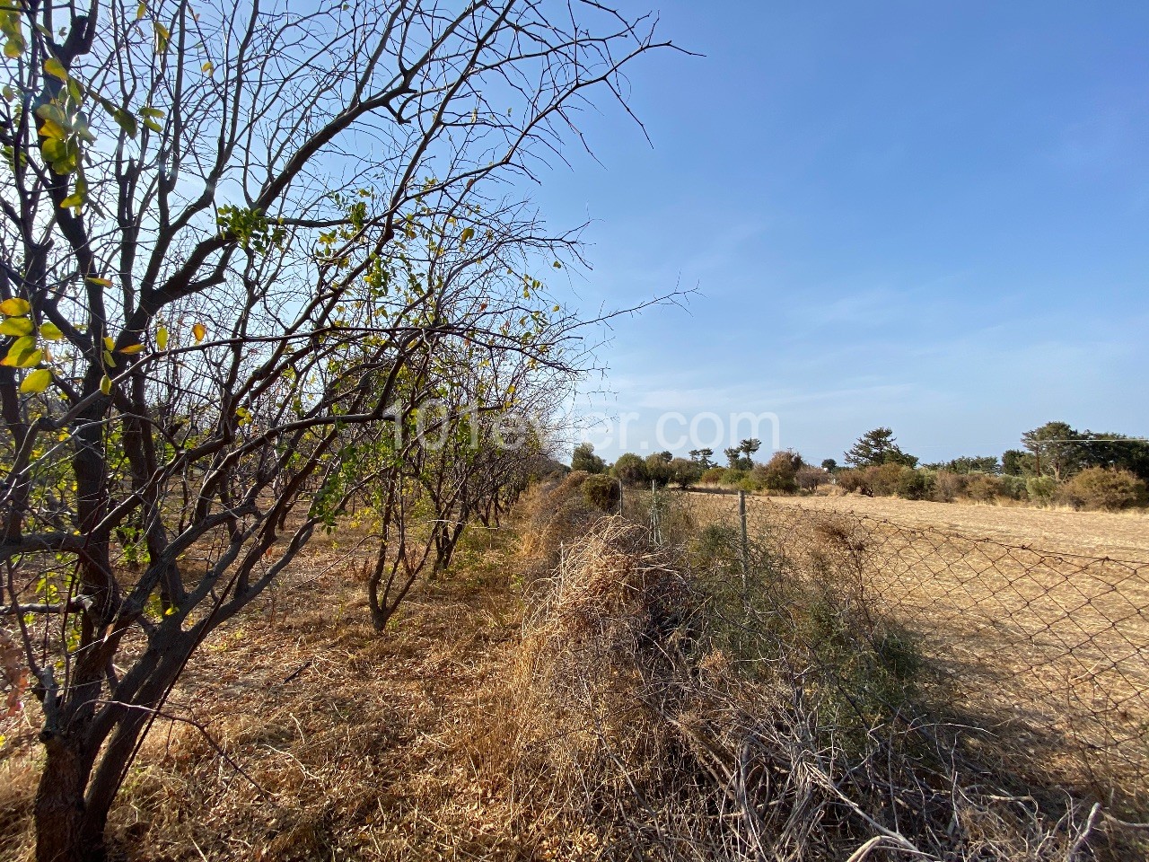 Land for sale in Karşıyaka, on a sloping land, with sea view, Turkish headband, around 9 donums ** 