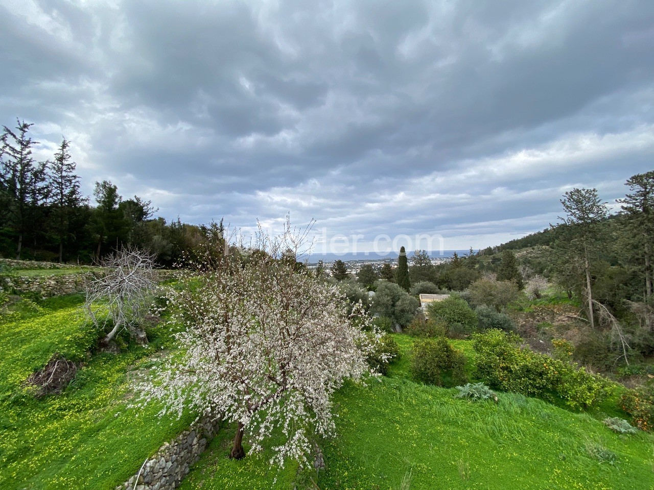 Detached house for sale in Lapta Başpınar, with an unobstructed sea view, within 3.5 donums ** 