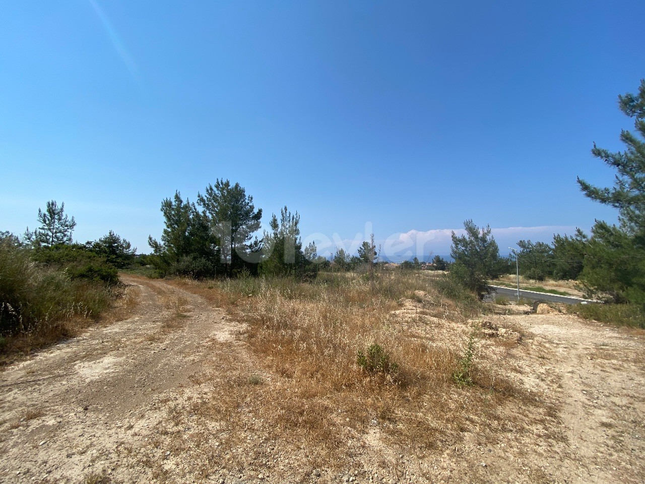 12.5 Donum land for sale for investment with non-closing views in Alsancak ** 