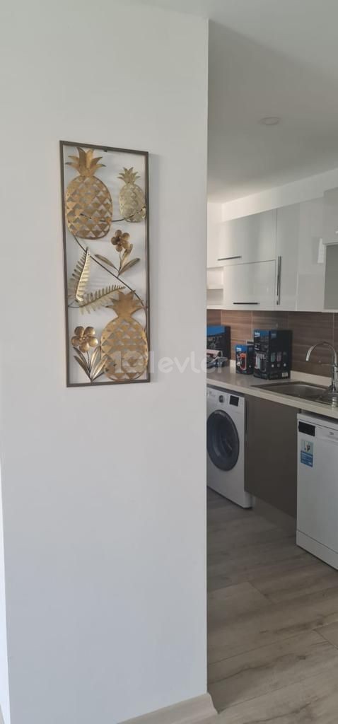 Yeni eşyalı daire1+1 AKACAN  Girne/Zaytinlik