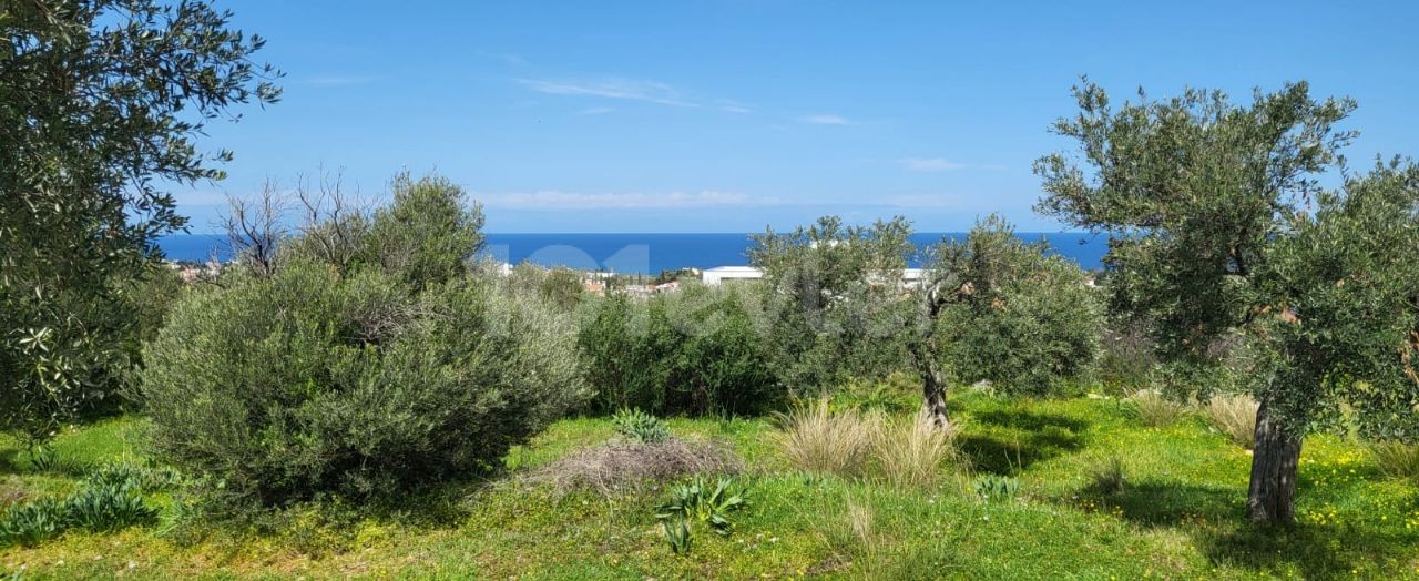 Our Land in Girne Lapta Tınaztepe, Very Suitable for Investment with Unstoppable Sea View