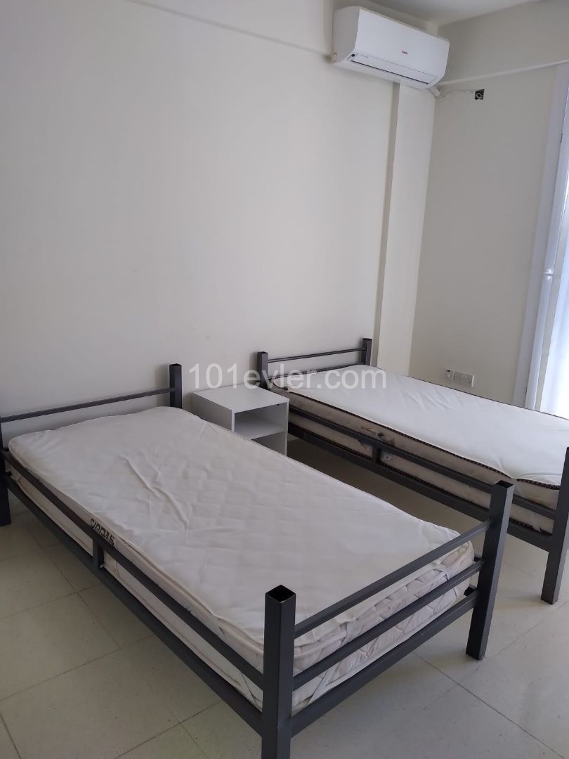 Studio Flat To Rent in Hamitköy, Nicosia