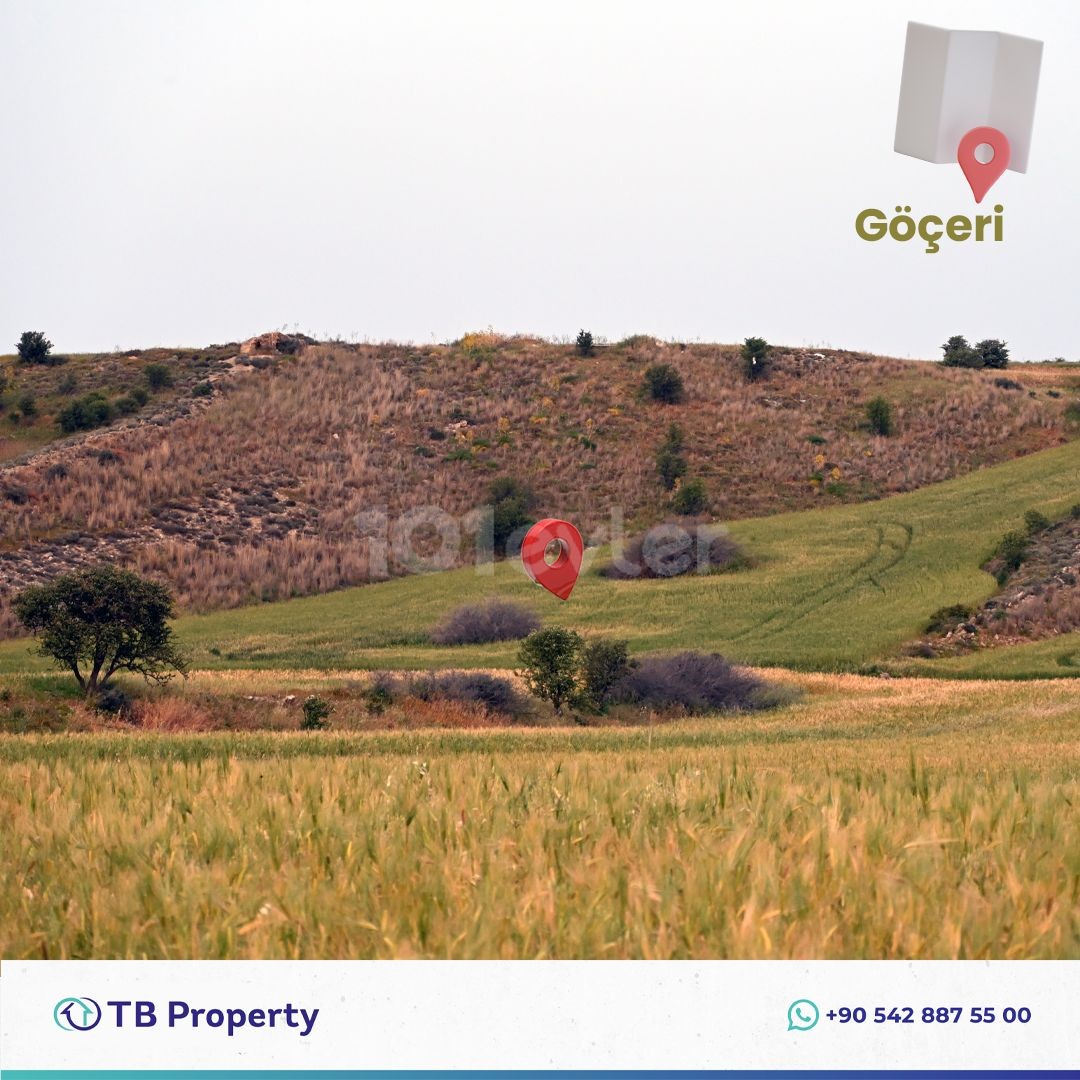 Investment Opportunity Field in Kyrenia Nomad Region!