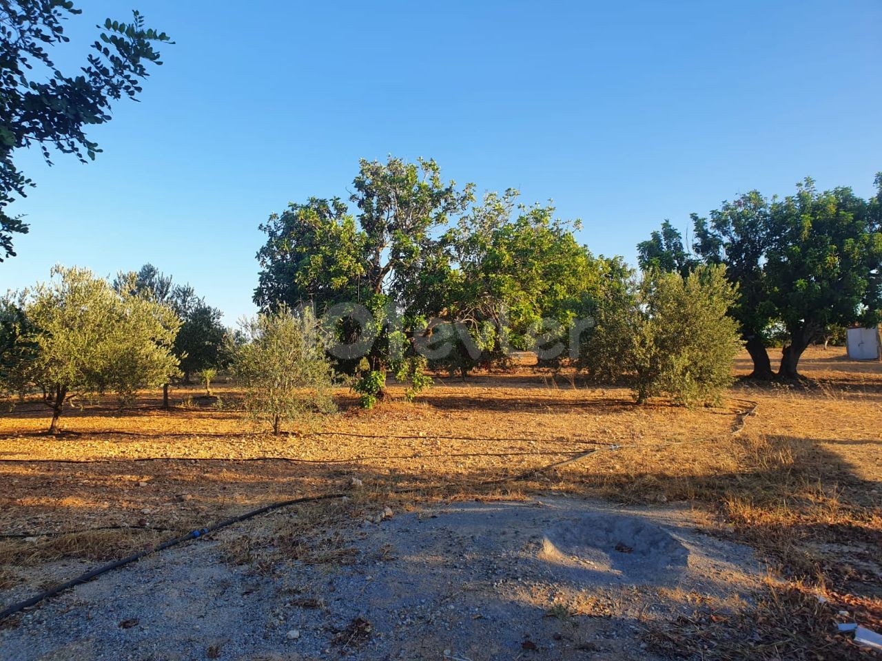 خانه مستقل برای فروش در یک قطعه 10 دکارتی در روستای محمد ارمیک ** 