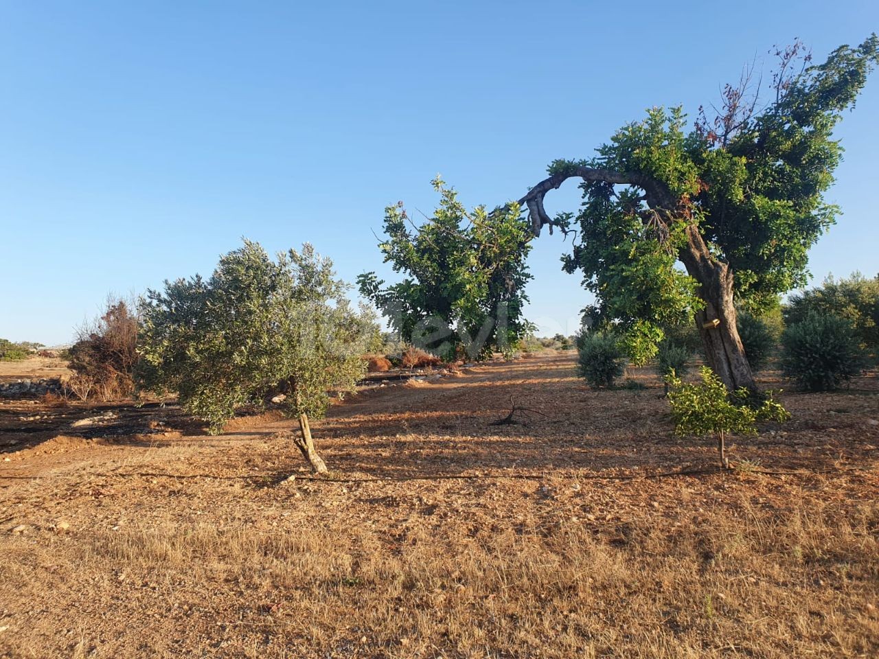 خانه مستقل برای فروش در یک قطعه 10 دکارتی در روستای محمد ارمیک ** 