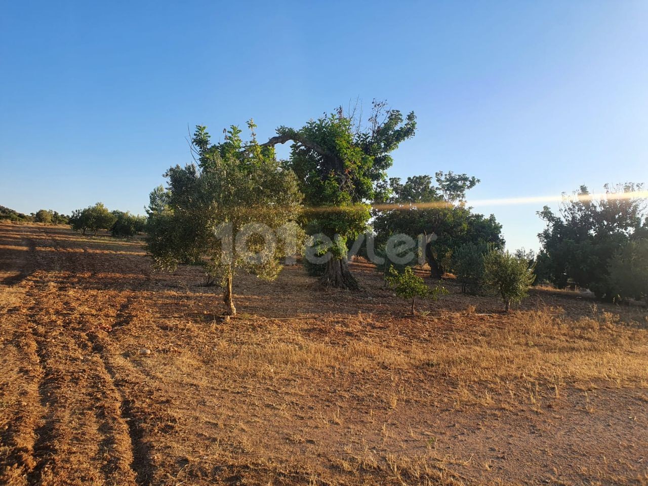 خانه مستقل برای فروش در یک قطعه 10 دکارتی در روستای محمد ارمیک ** 