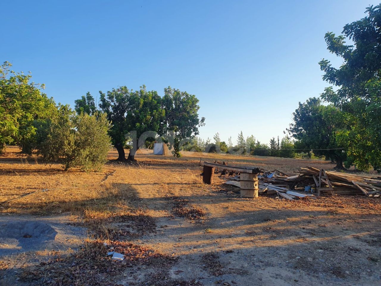 خانه مستقل برای فروش در یک قطعه 10 دکارتی در روستای محمد ارمیک ** 