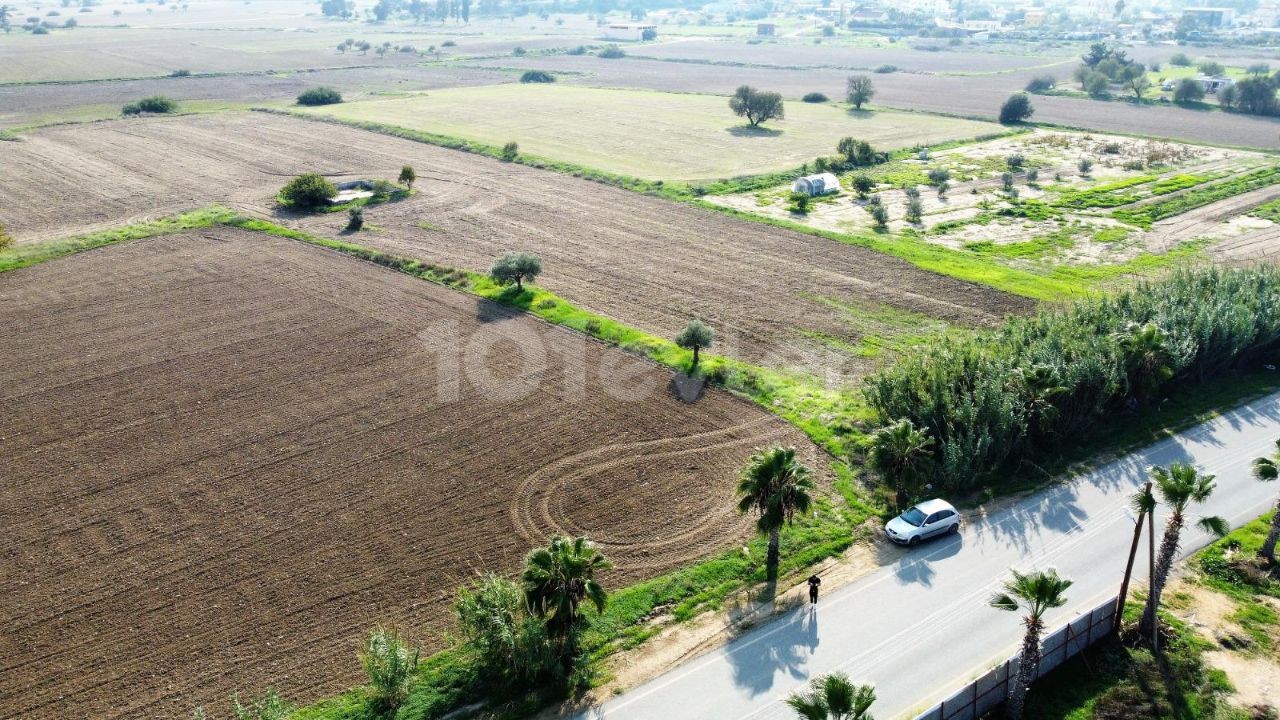 زمین تجاری در جاده اصلی CAYIROVA BAFRA