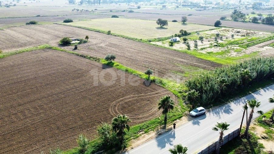 زمین تجاری در جاده اصلی CAYIROVA BAFRA