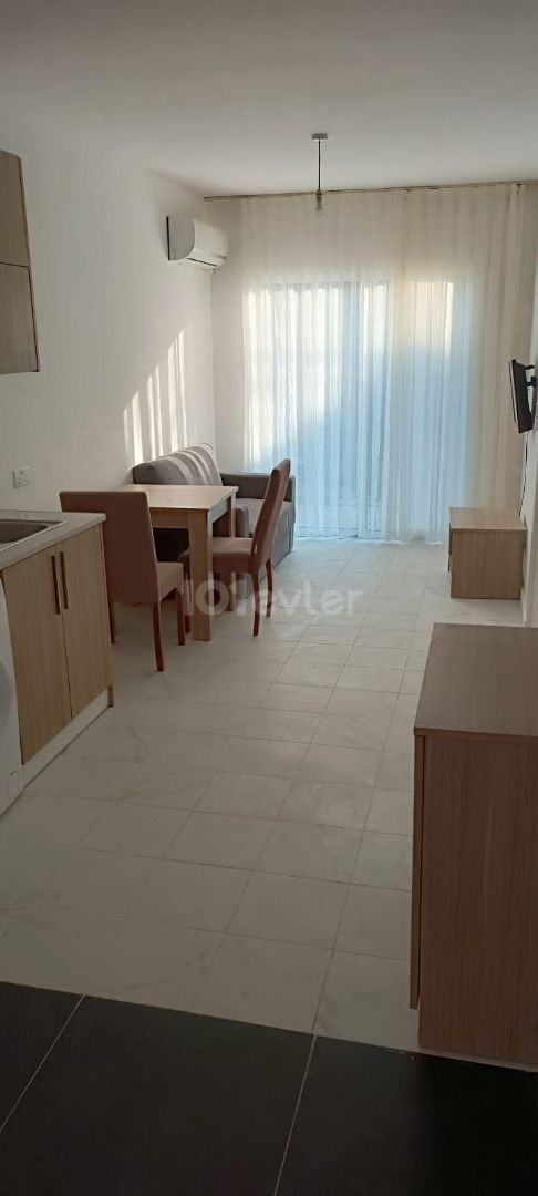 GAU  yakınında 1+1 kiralık  evler  