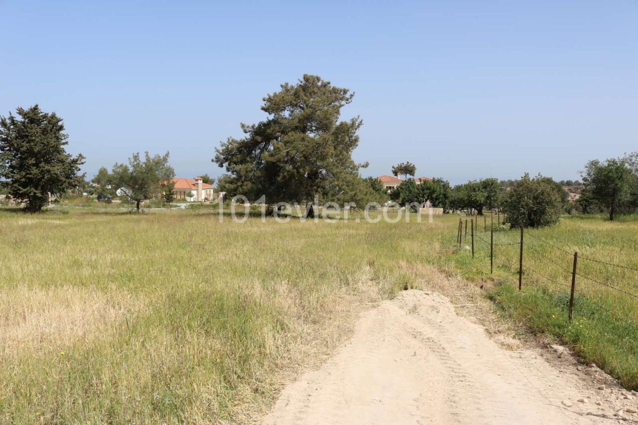 3 Donum Plot of Land in Karaagac