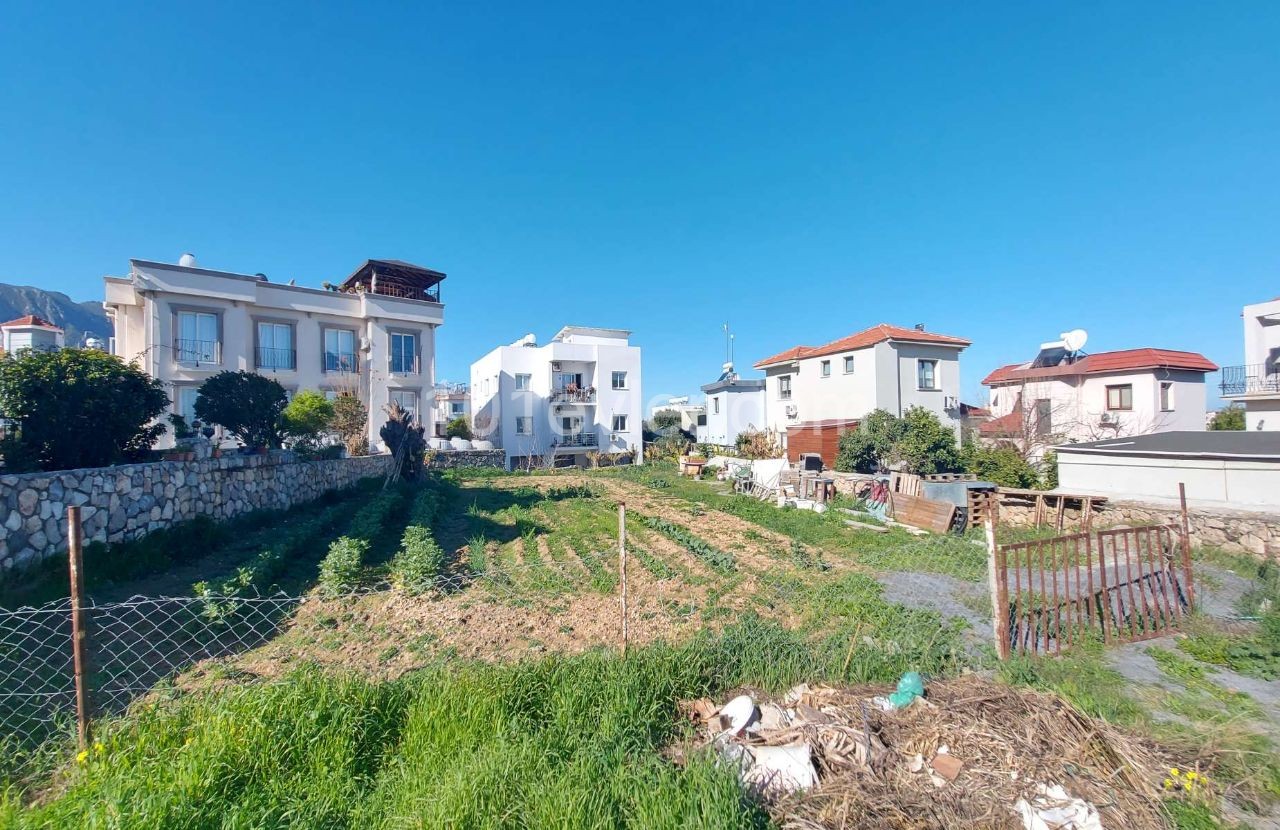 Land for Sale in Zeytinlik