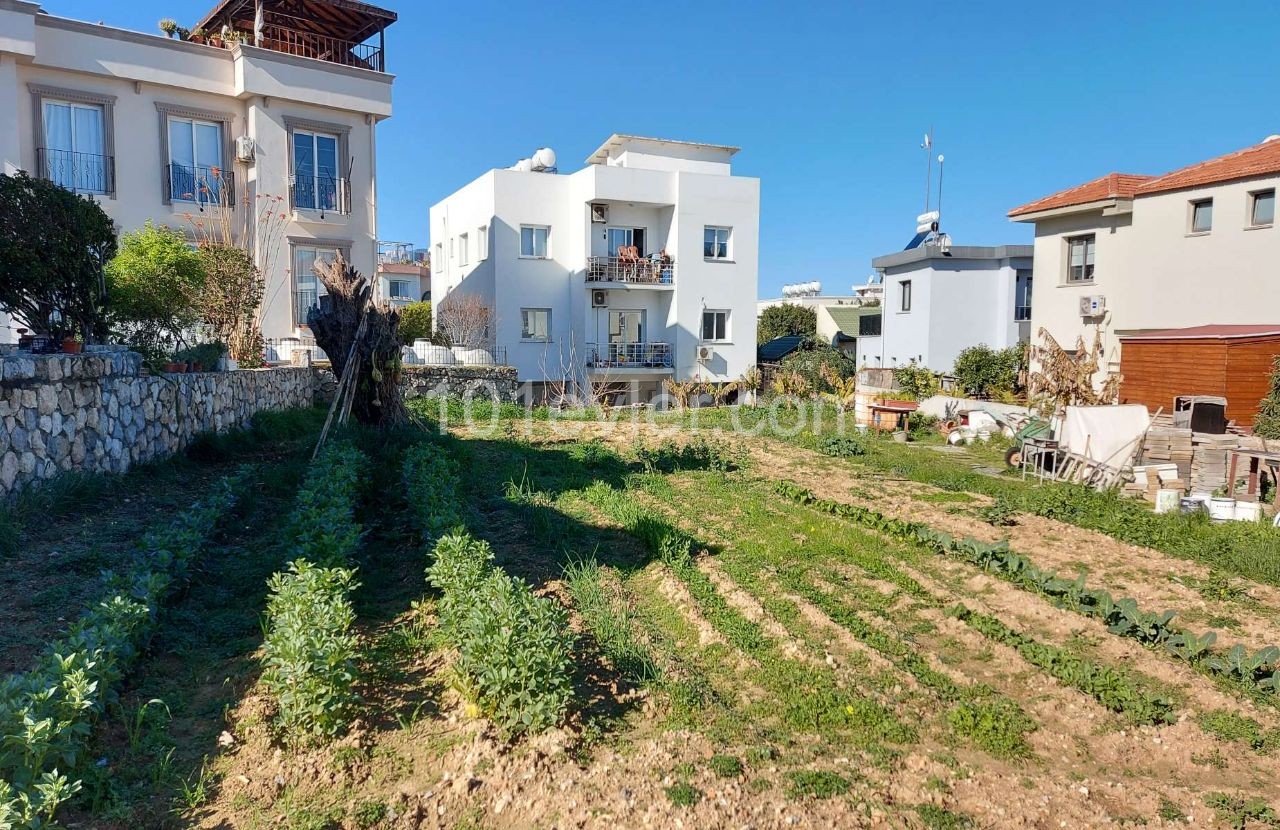 Land for Sale in Zeytinlik