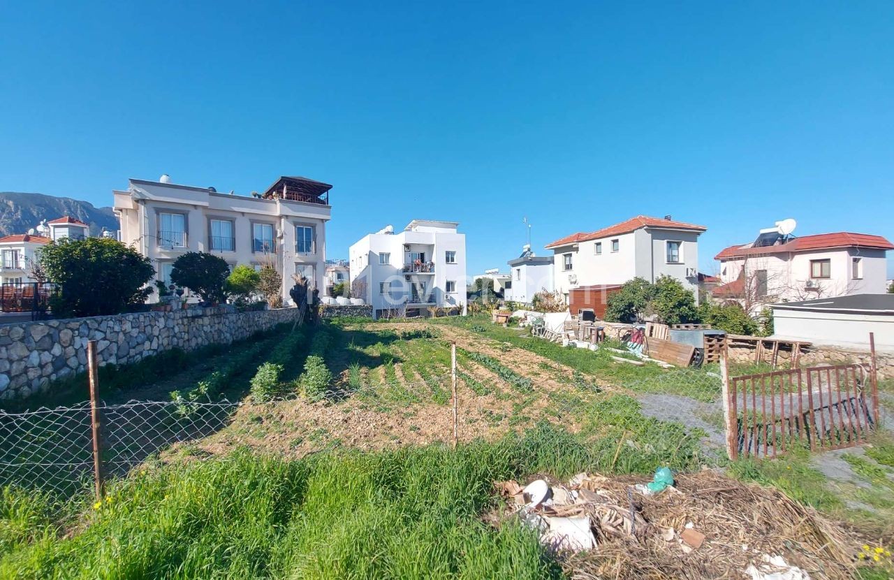 Land for Sale in Zeytinlik