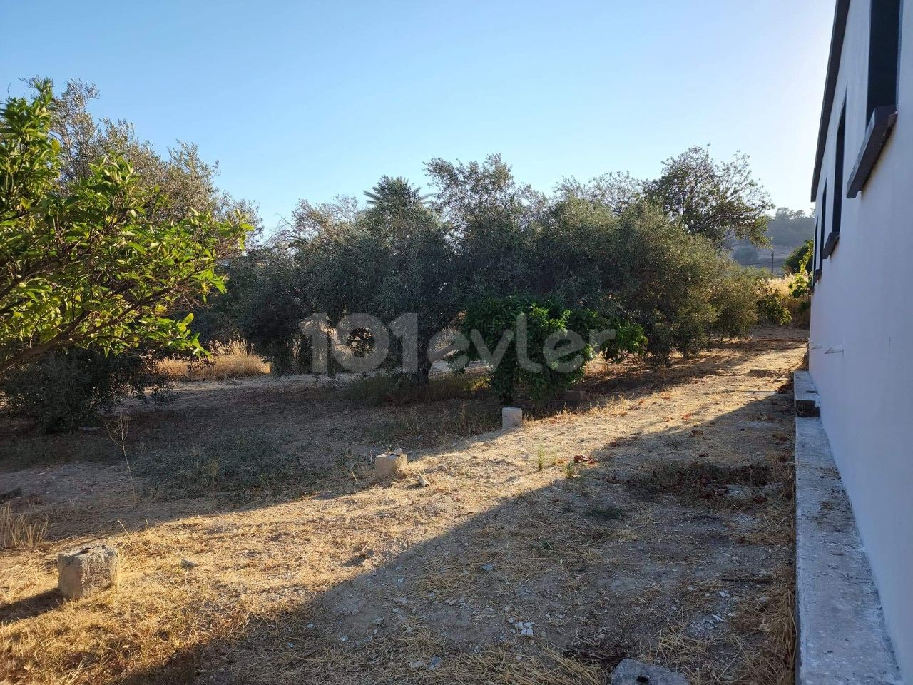 Detached House For Sale in Mallıdağ, Famagusta