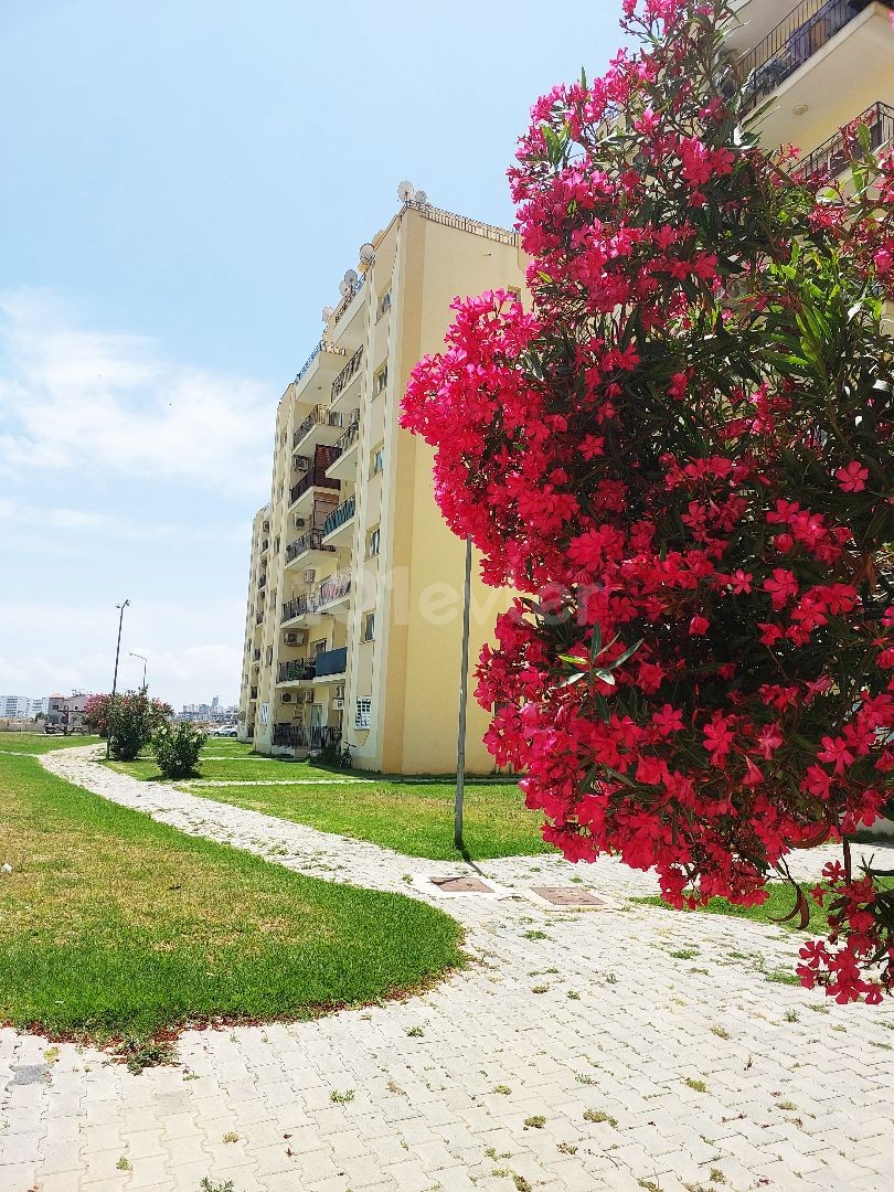 Meerblick-Wohnung in Long Beach 2+1