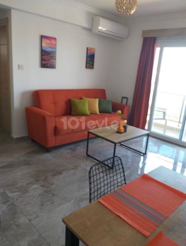 Rent 1+1 in the Sea Shell complex for a long term, furnished, 300 meters from the sea.