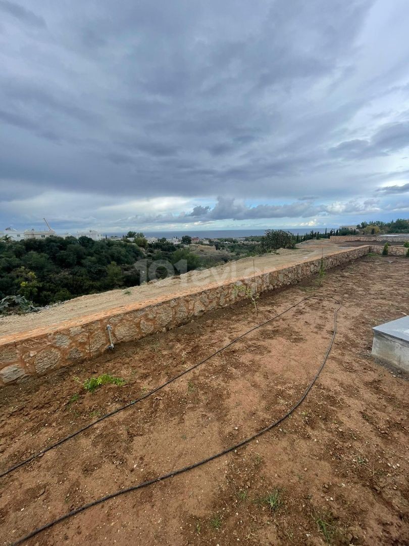 Detached villas in Kyrenia, the northernmost city of Cyprus.