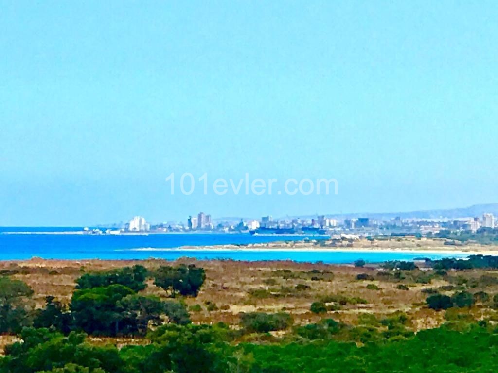 Eben Kaufen in Yeni Boğaziçi, Famagusta