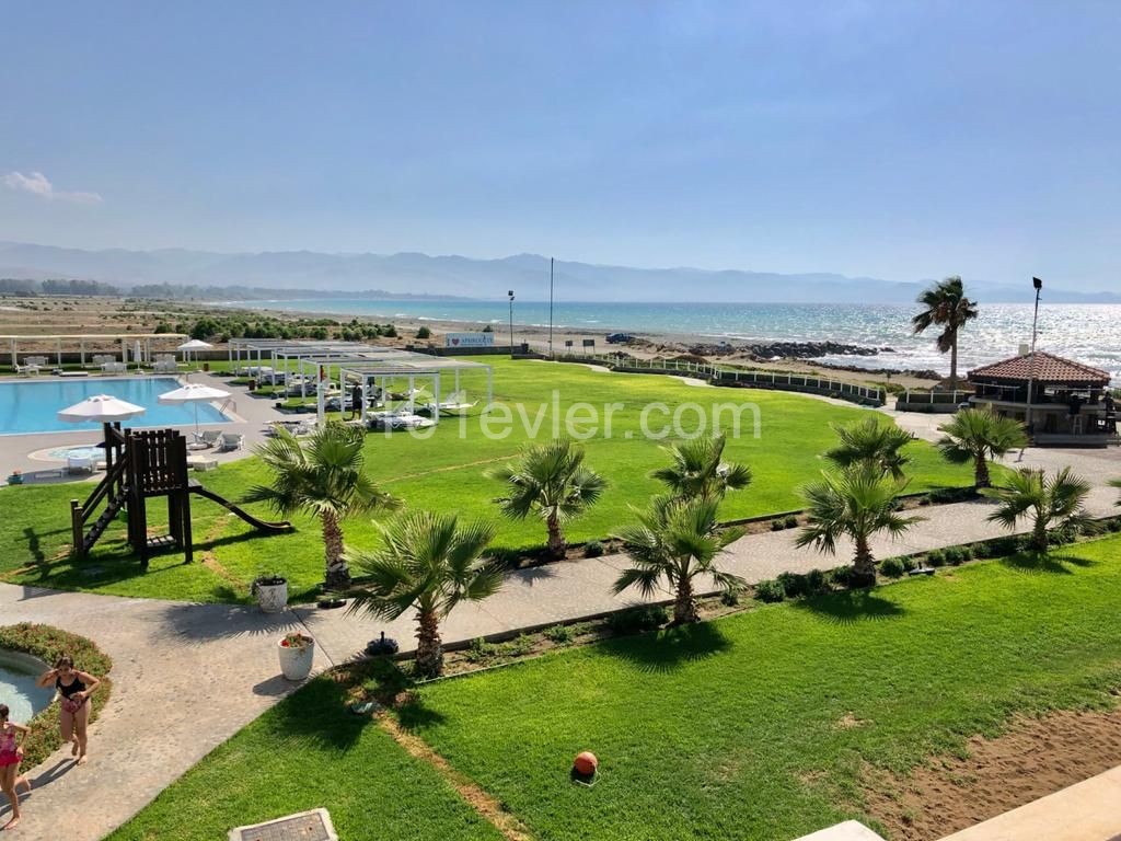 2+1 Penthouse in Morphou from owner