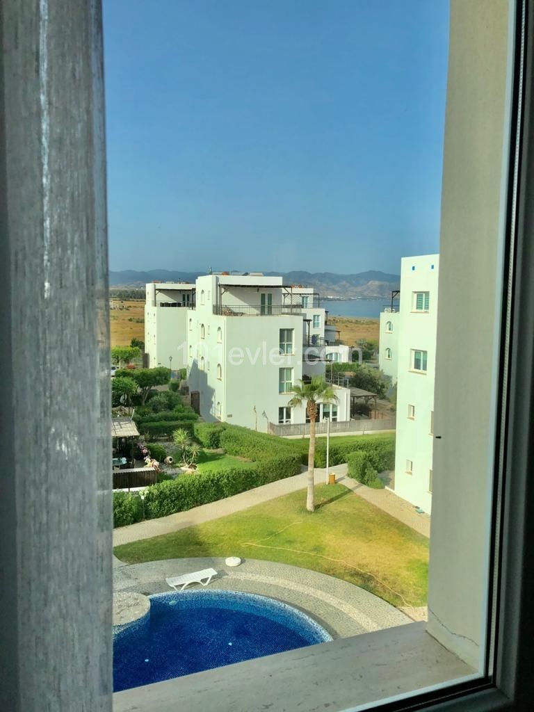 2+1 Penthouse in Morphou from owner