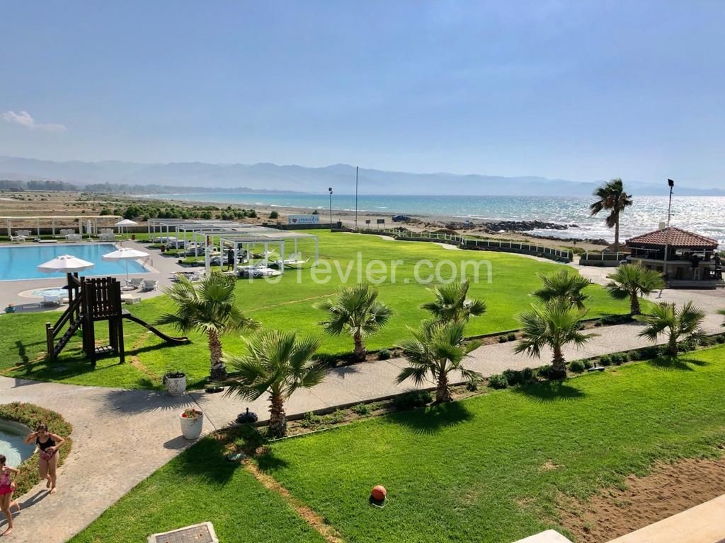 The complex is located on the very shore of an excellent Mediterranean beach and swimming pools, including the beach and pools, including the one and the same toycost, while the excellent place to stay and rent. They promise to build a health and wellness center in two years. The apartment is locate