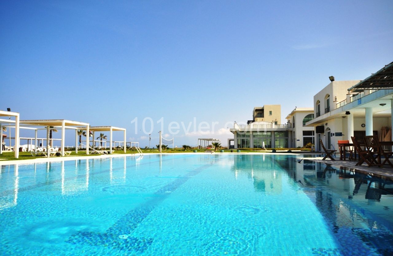 The complex is located on the very shore of an excellent Mediterranean beach and swimming pools, including the beach and pools, including the one and the same toycost, while the excellent place to stay and rent. They promise to build a health and wellness center in two years. The apartment is locate