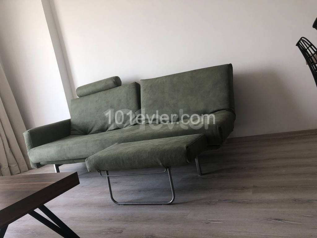 Specious 2+1 for rent in Sakarya 600$