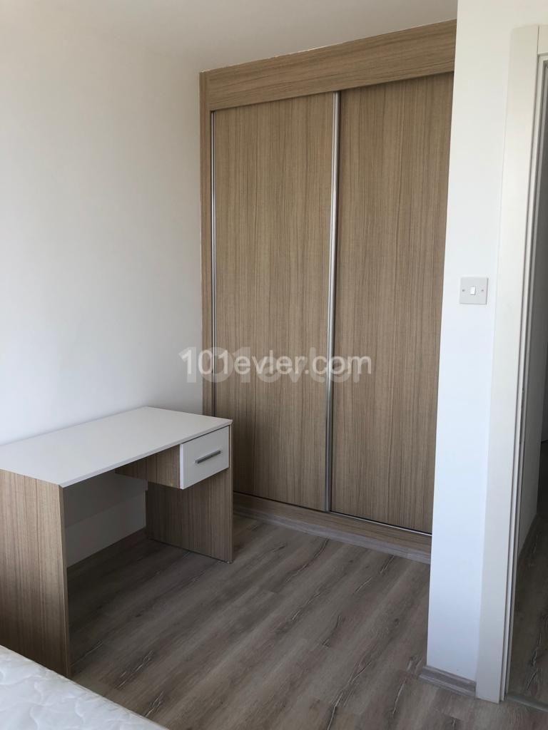 Şehir dışında 2+1 550$ min 6ay