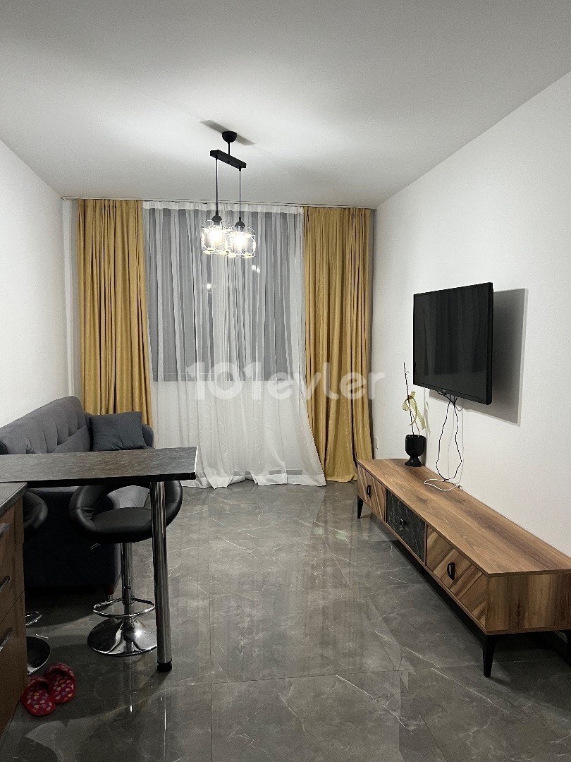 Luxury 1+1 flat in salamis ,450$ monthly year or 4months contract 