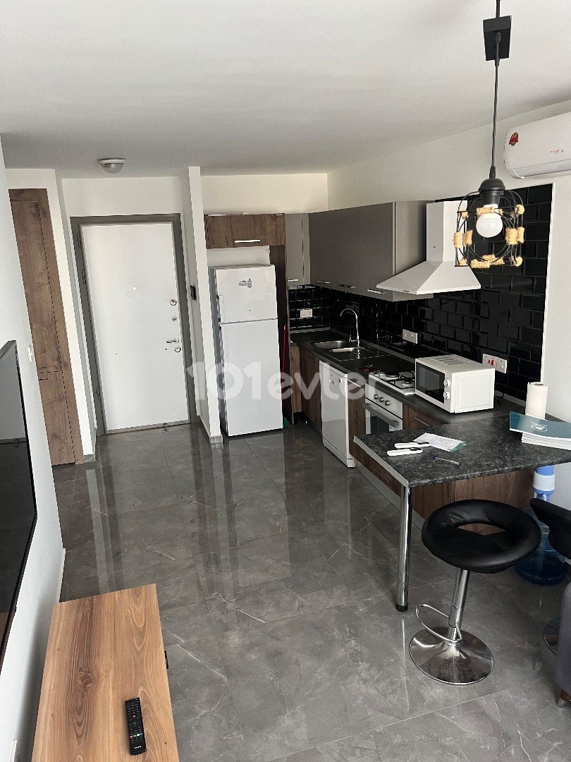 Luxuriöse 1+1-Wohnung in Salamis, 450$ pro Monat Jahresvertrag