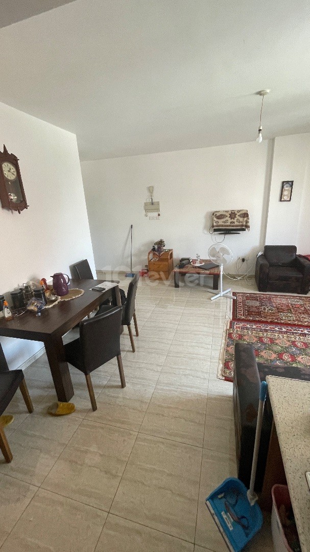 Clean flat in the best location of town,1+1 350$