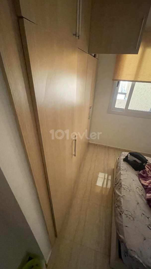 Clean flat in the best location of town,1+1 350$