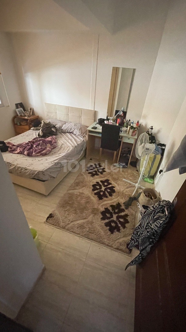 Clean flat in the best location of town,1+1 350$