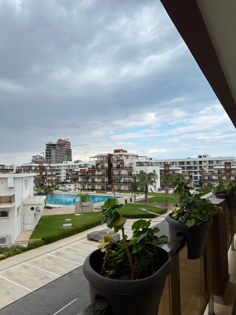 Kiralık Daire-Long Beach, İskele