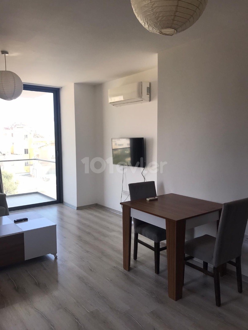 Şehir dışında temiz ve harika 2+1 daire, 600$