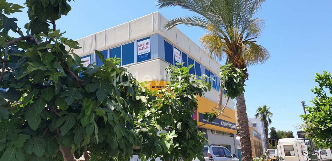 Büro Zu Vermieten Mit 10 Zimmern Im Zentrum Von Kyrenia ** 