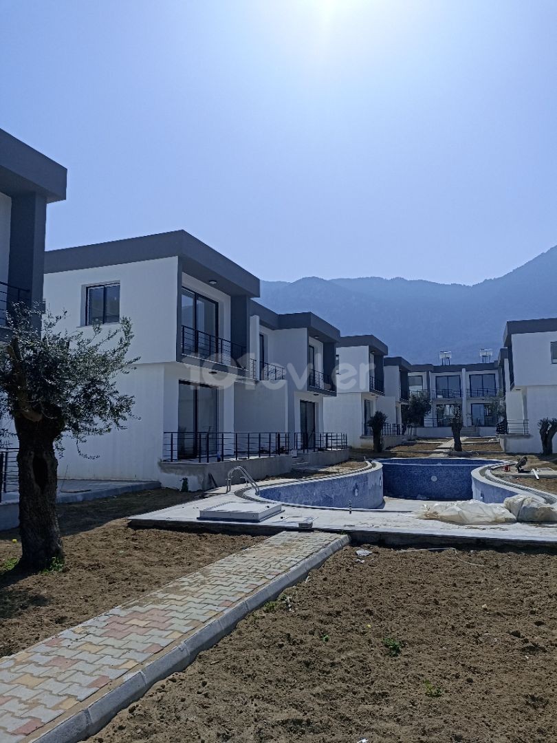 Olive Branch Villas (Son 3 Villa)