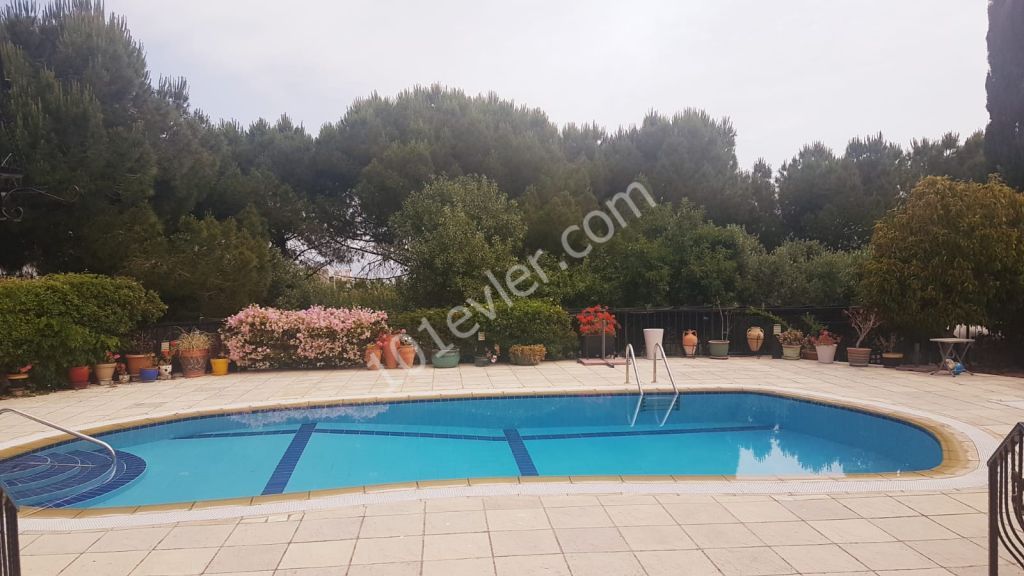 Auf 1000m2 Land in Kyrenia Edremit - 250m2 überdachte Fläche - voll möbliert-Villa mit privatem Pool ** 