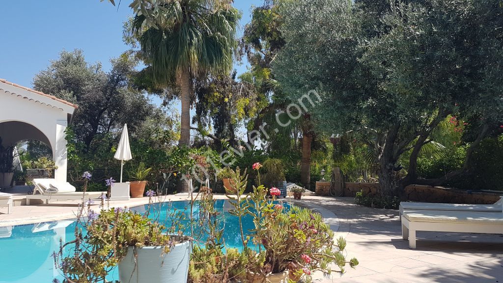 Girne Alsancak da Escape Beach'e Yürüme Mesafesinde 1 Dönüm Arazi İçerisinde 240m2 - 3+1 Özel Yüzme Havuzlu Lüx Villa -Banka Kredisine Uygundur